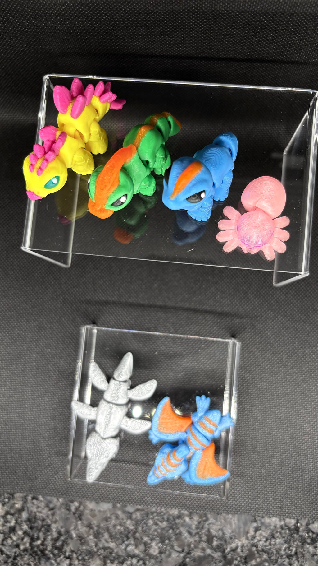 🦖 Meet the Baby Dino Squad! 🦖