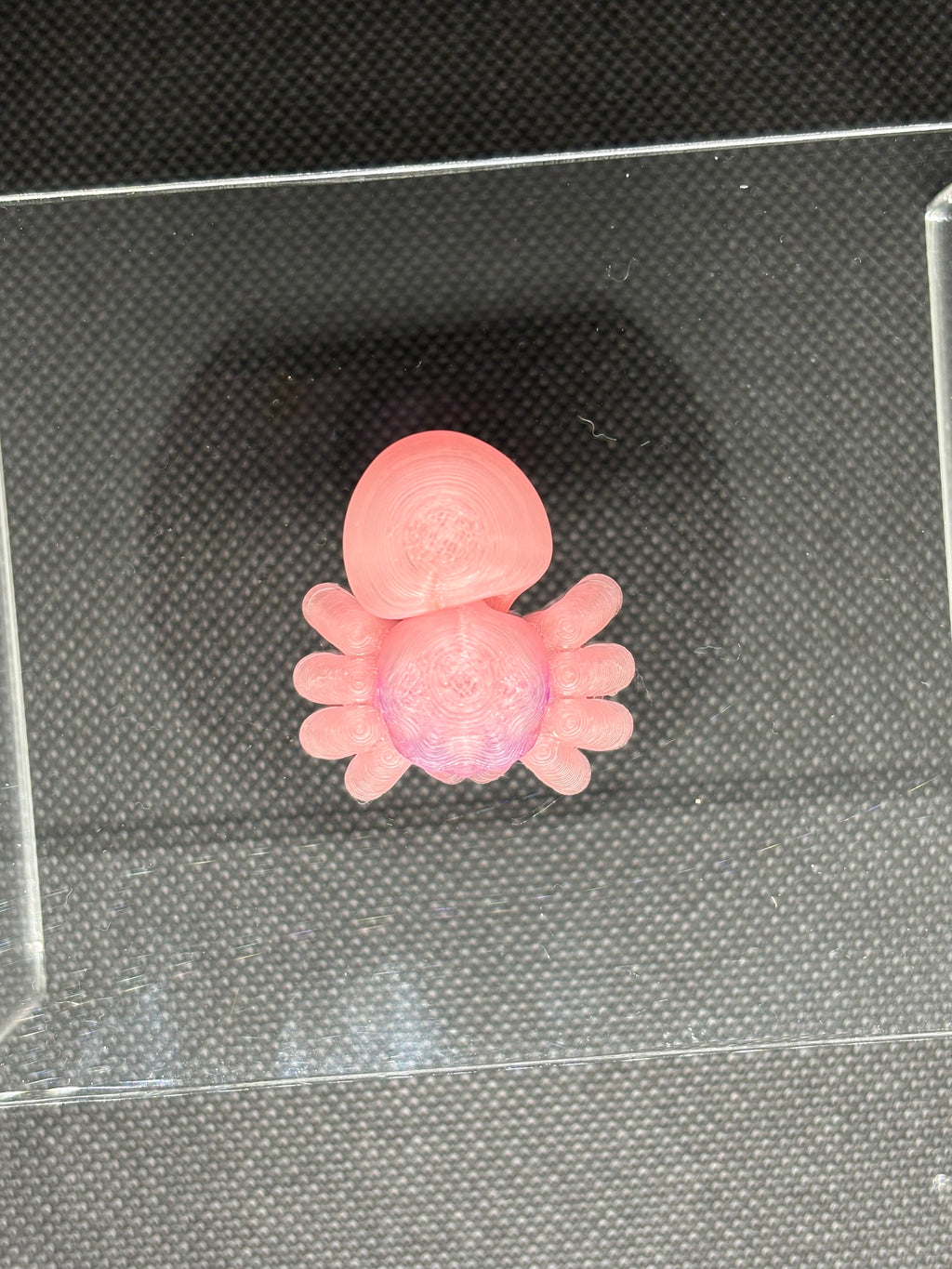 🕸️🕷️3D Printed Artculated Spider🕷️🕸️