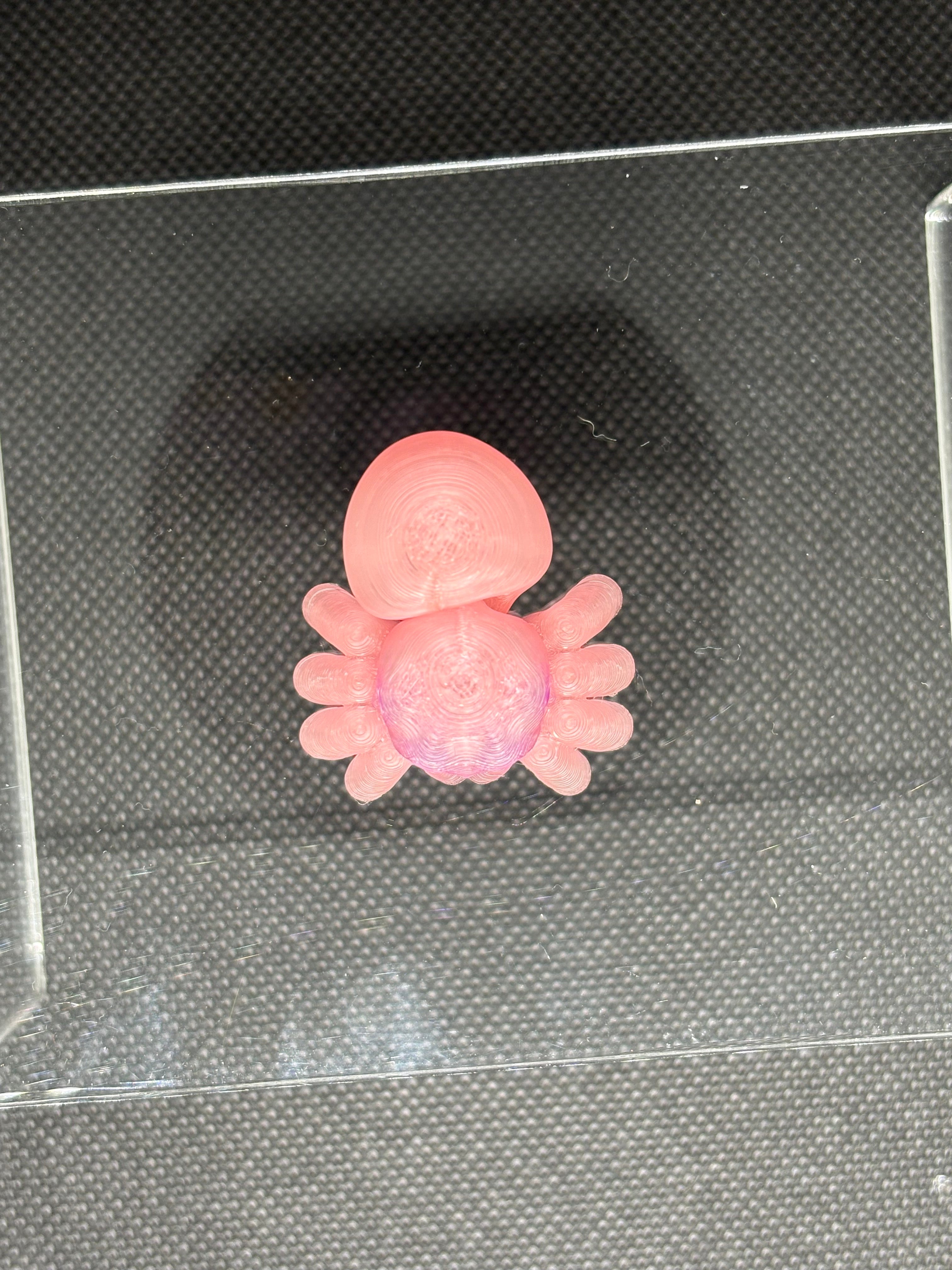 🕸️🕷️3D Printed Artculated Spider🕷️🕸️