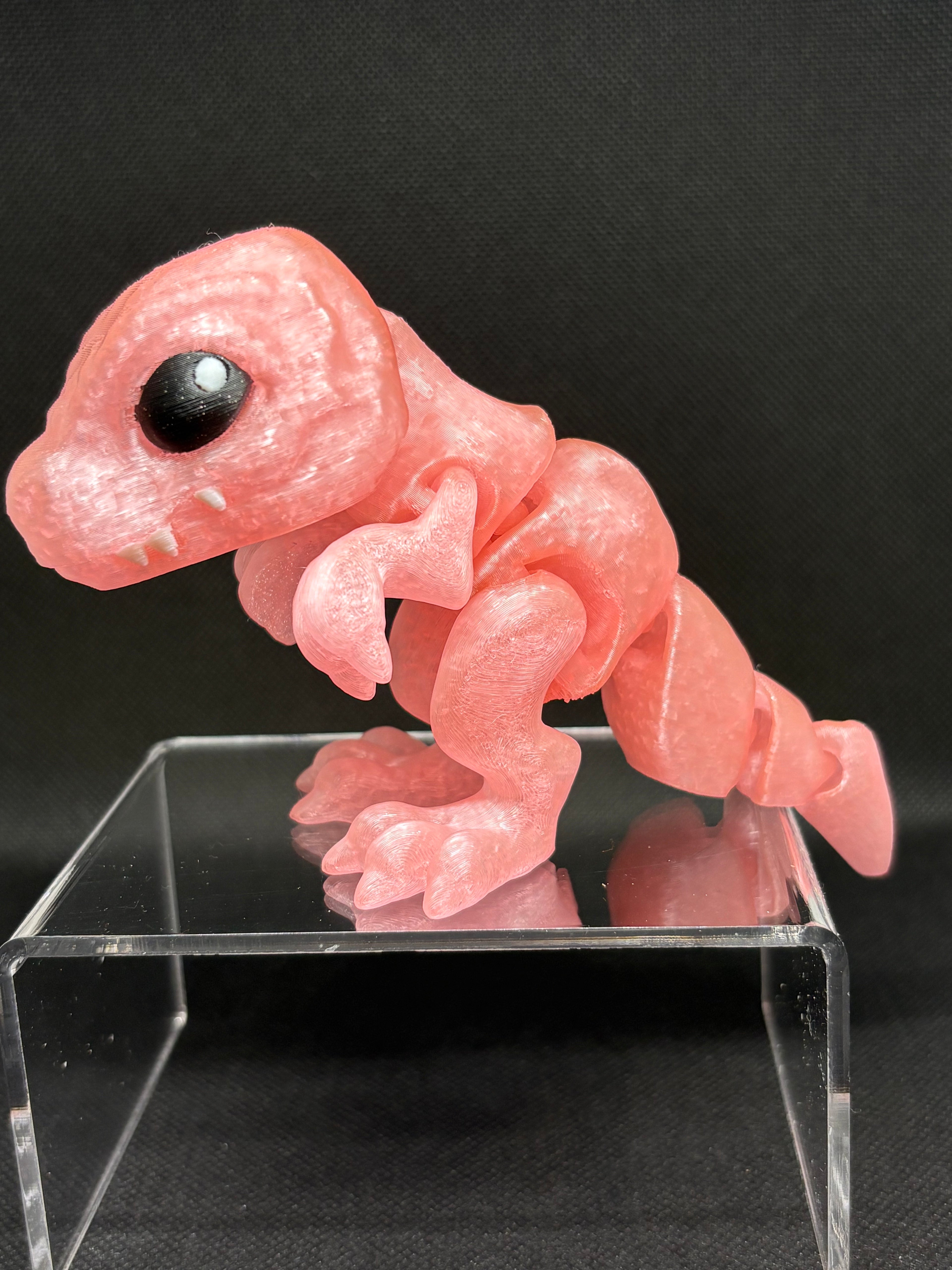 🦖 Adorable but Fierce – Meet Your Baby T-Rex! 🦖