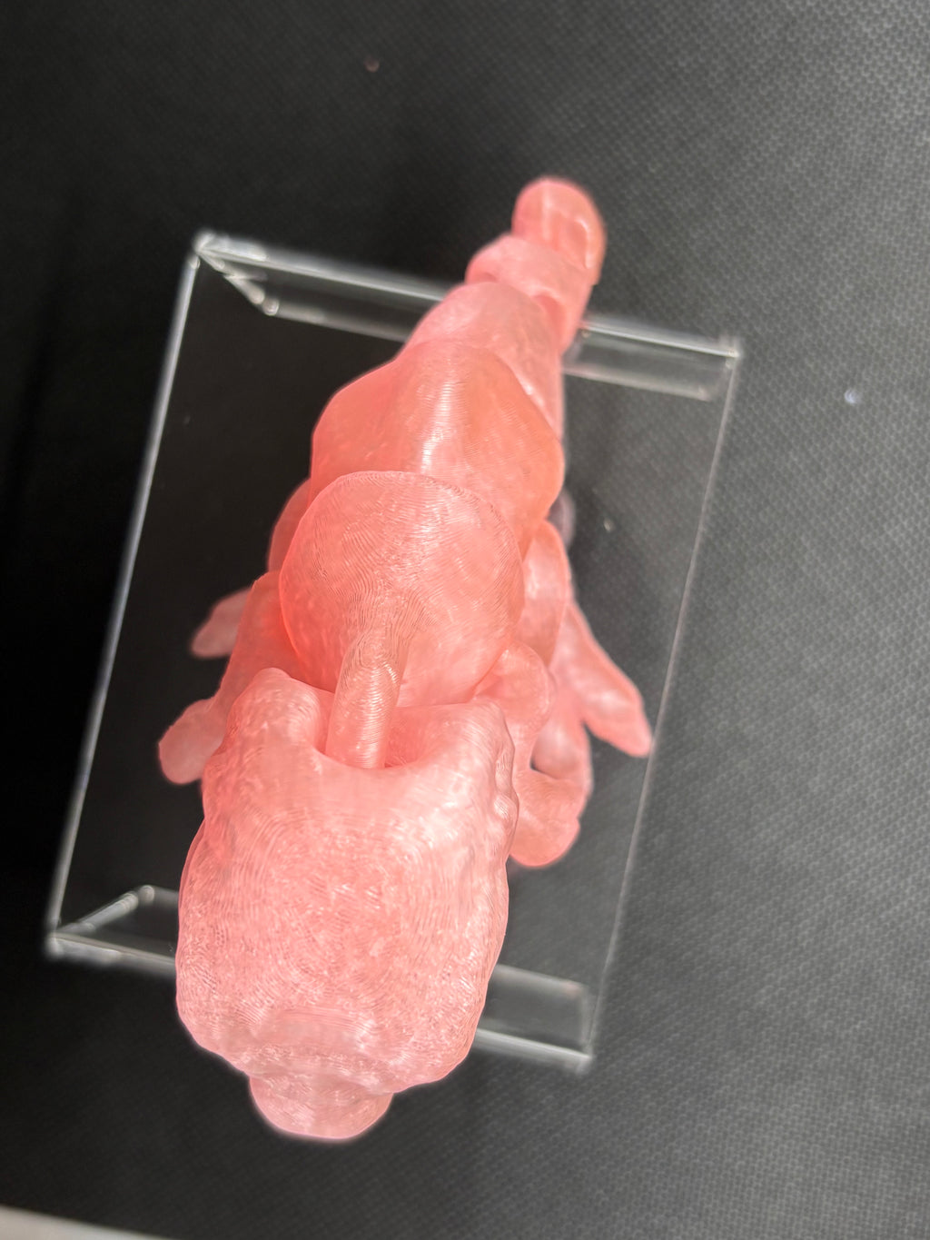 🦖 Adorable but Fierce – Meet Your Baby T-Rex! 🦖